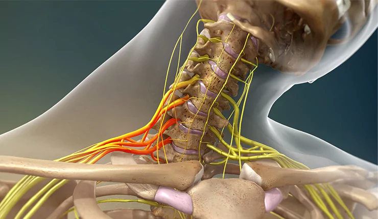 Service Detail Image